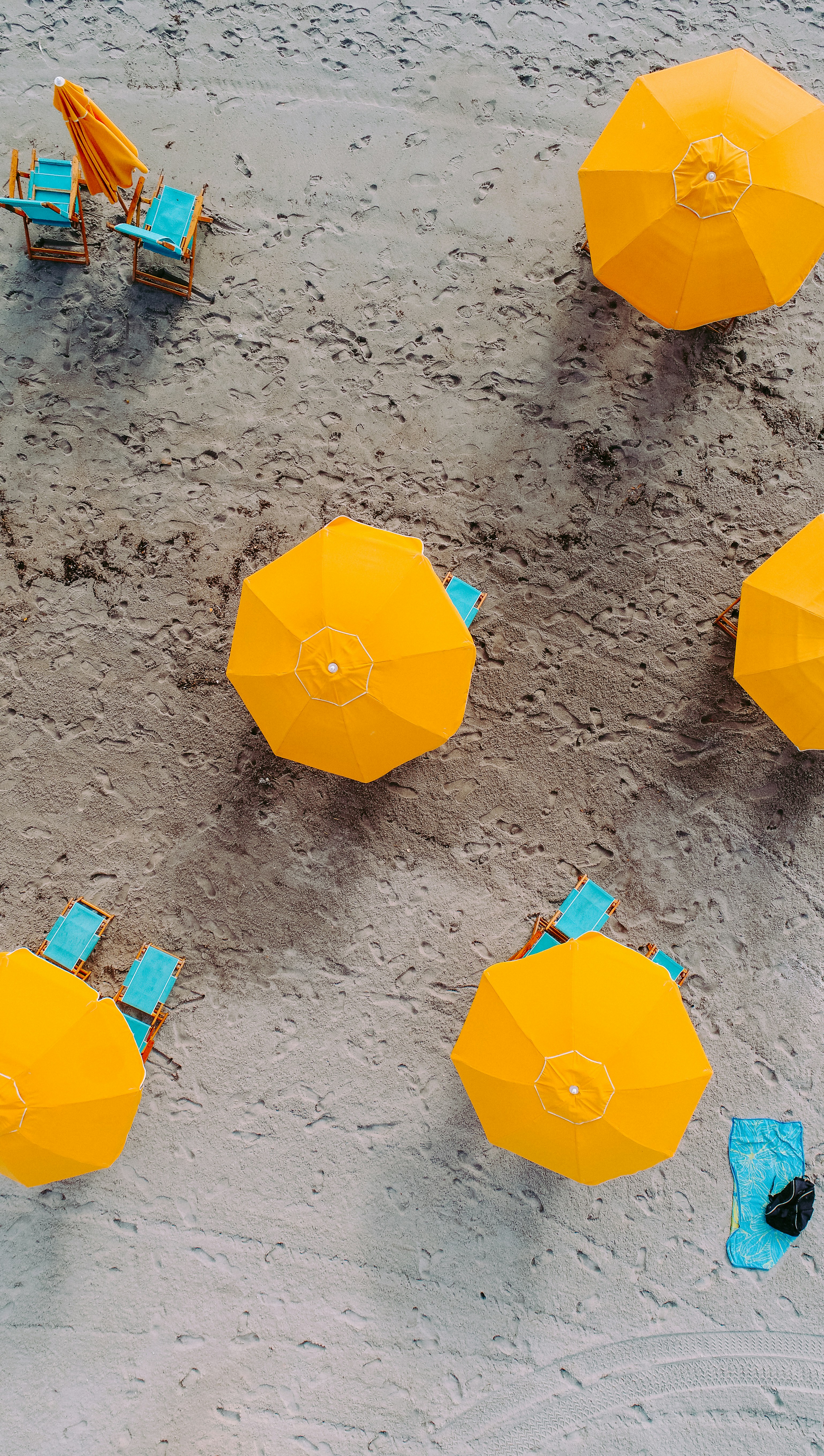 umbrellas from above